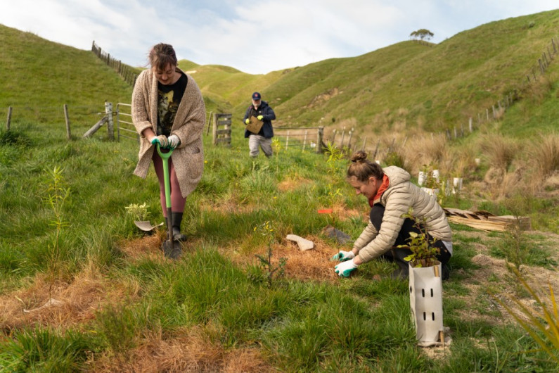 planting image