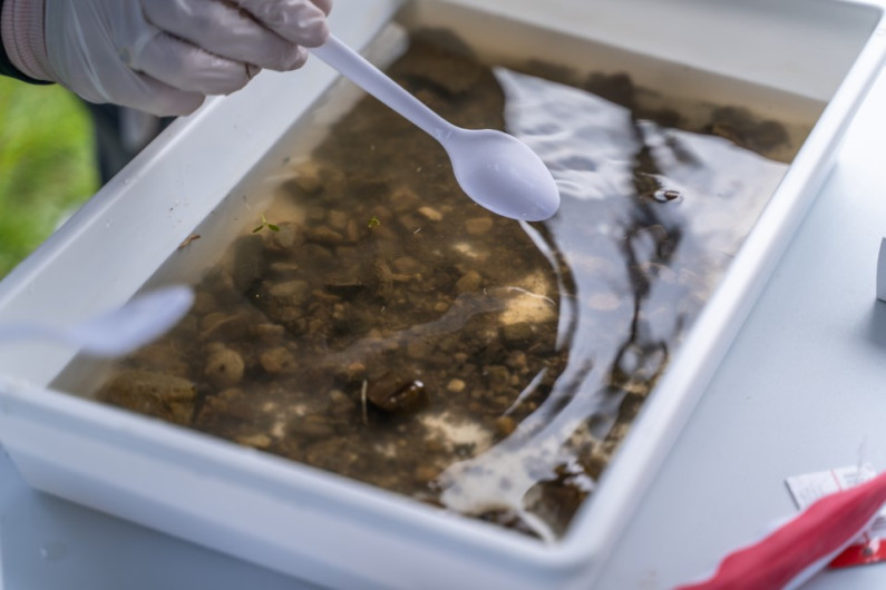 soil testing