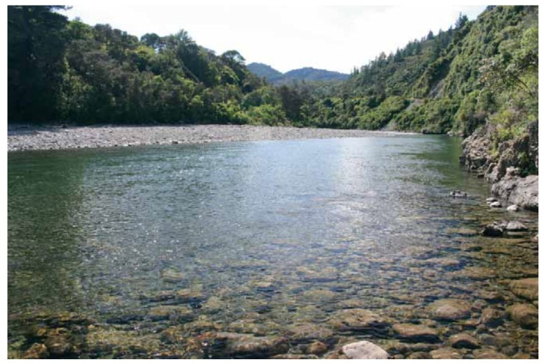 waiohine river gorge in the wairarapa