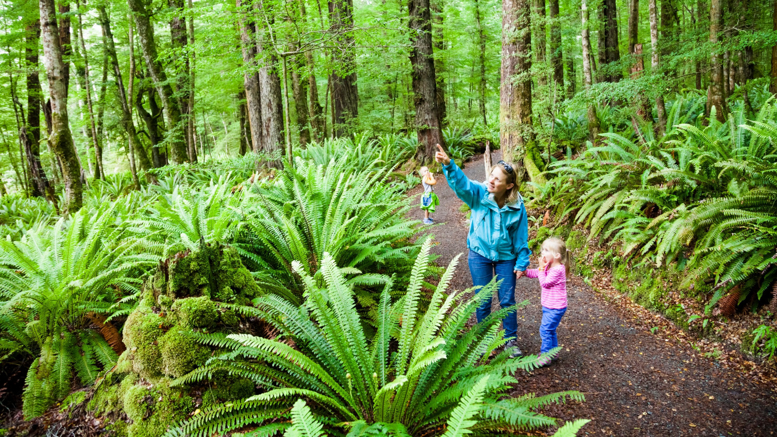 A woman and two children in a forest of tress, standing in front of ferns.