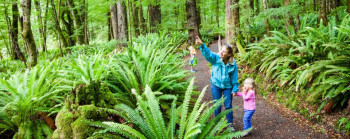 A woman and two children in a forest of tress, standing in front of ferns.