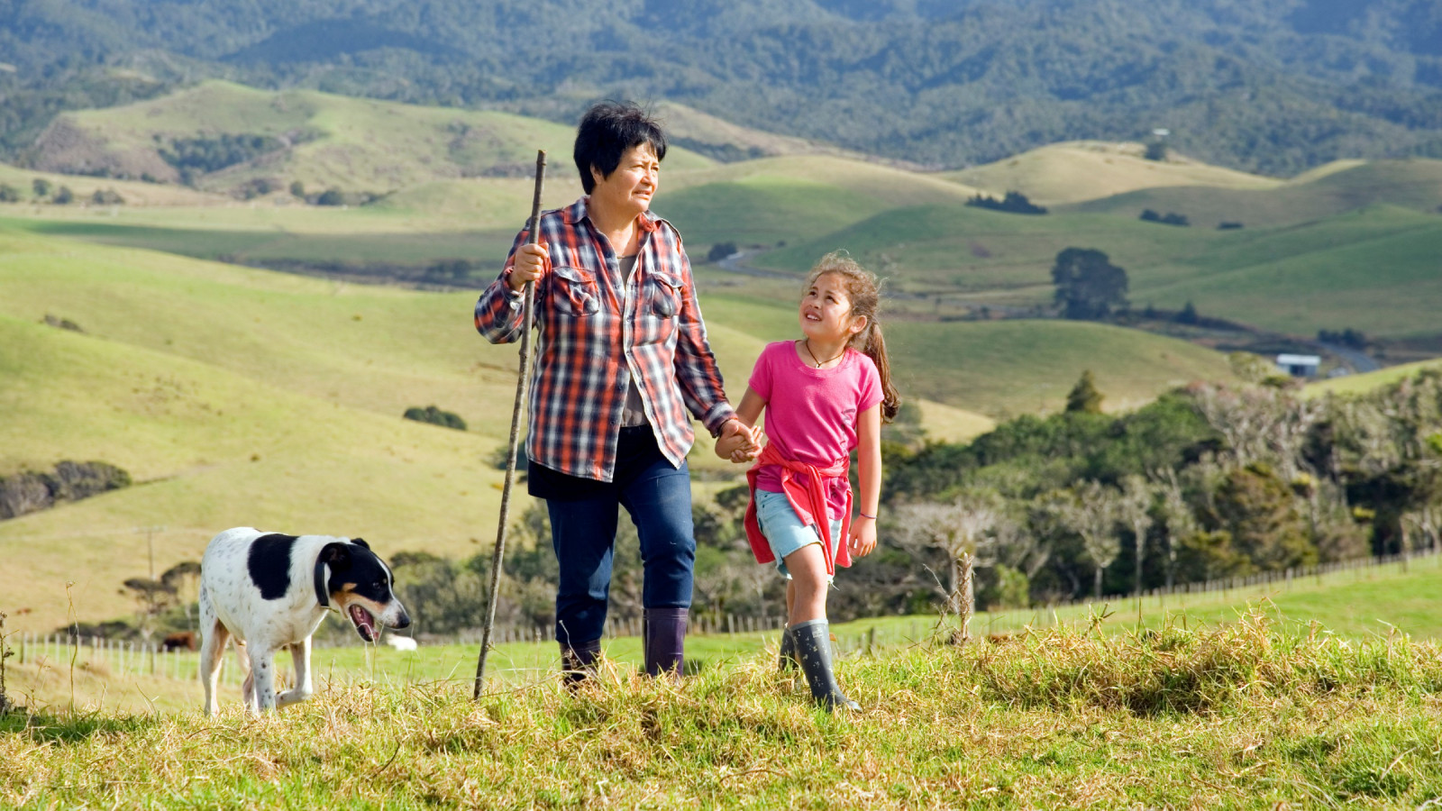 A woman with a walking stick holding hands with a young girl as both walk up a farm hill with their black and white dog.