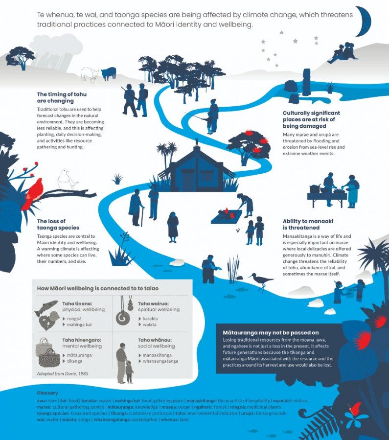 Māori identity and wellbeing is threatened by climate change. Infographic.