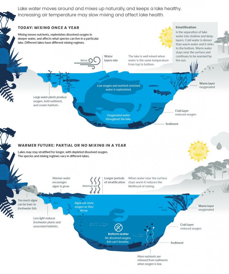 Climate change and lake health. Infographic.