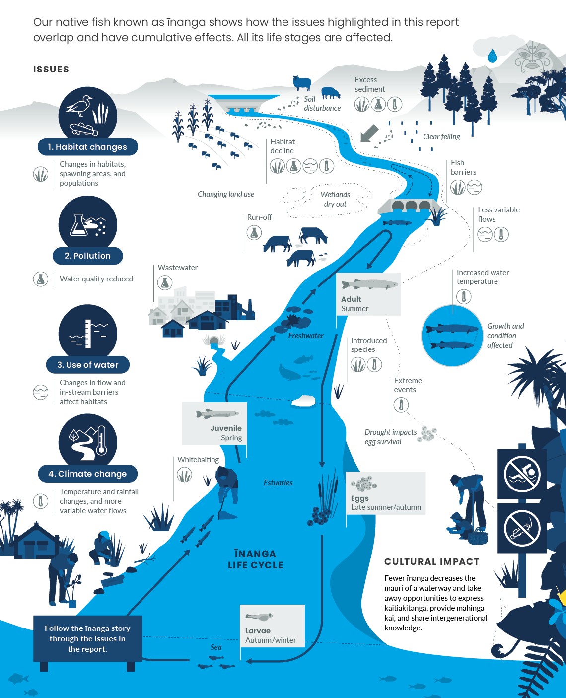 Issues overlap and have cumulative effects on īnanga. Infographic.