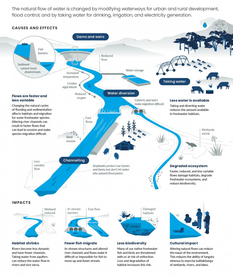 Effects of using water and modifying waterways infographic. 