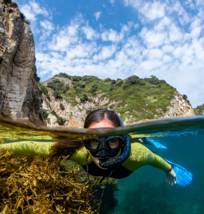 A  shot above and below the water of a young girl swimming, with a snorkel and flippers.