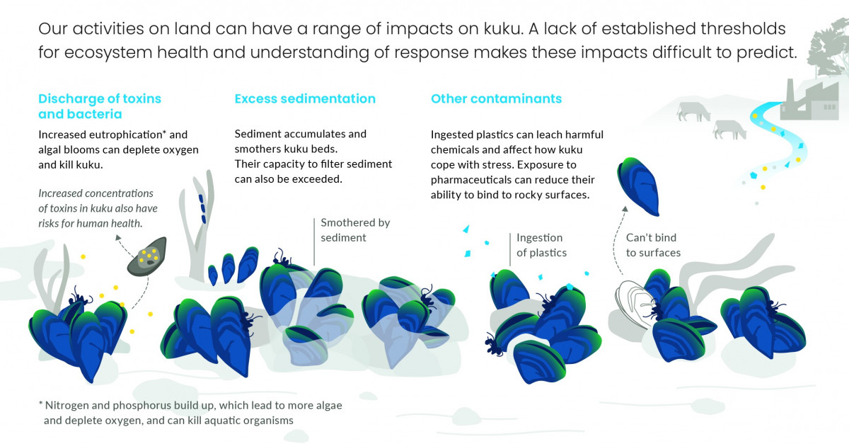 How land-based pressures affect kuku. Infographic.