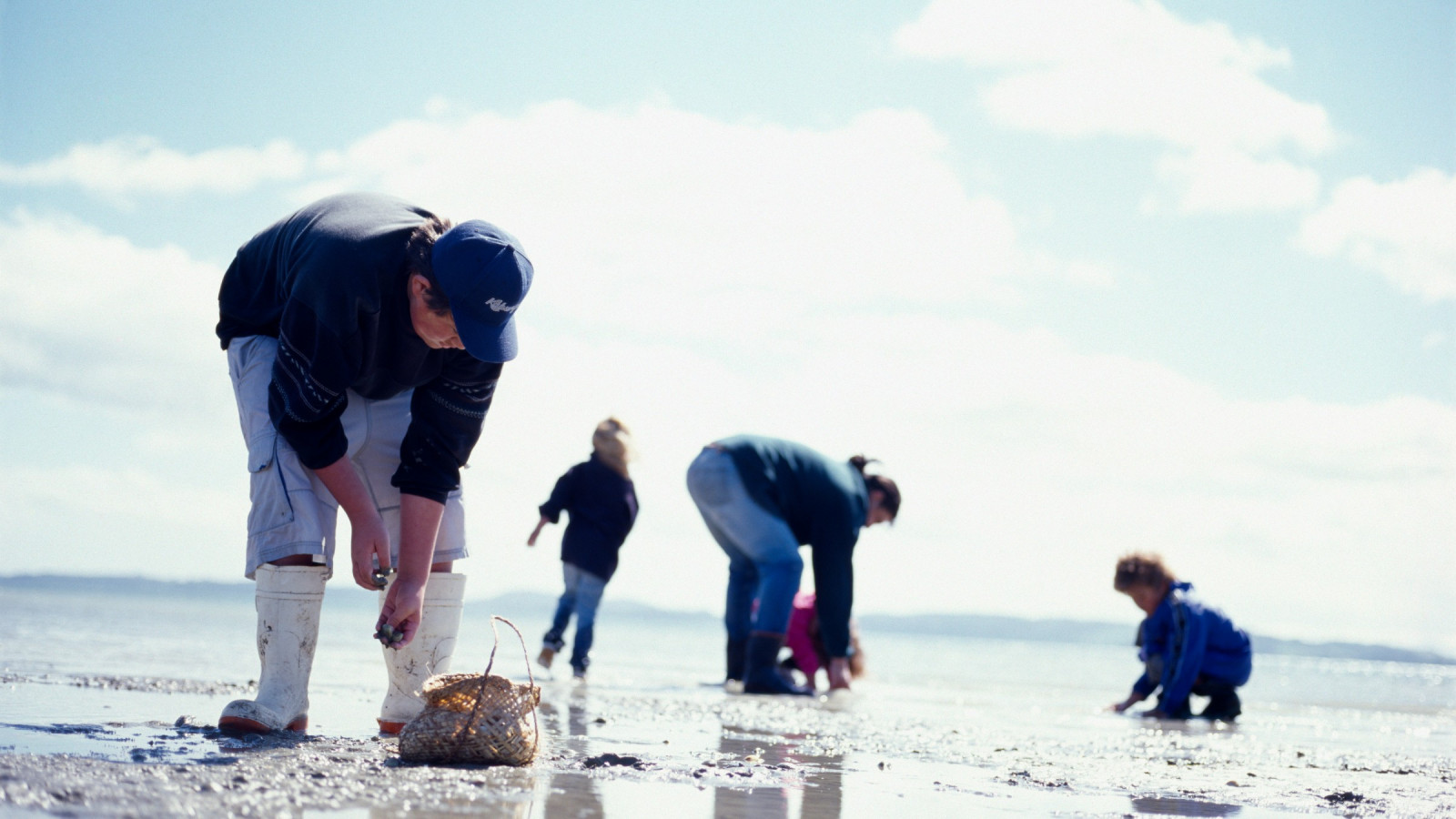 A group of people collecting shell fish at low tide.