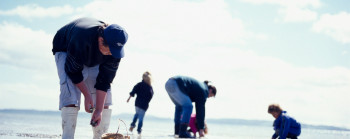 A group of people collecting shell fish at low tide.