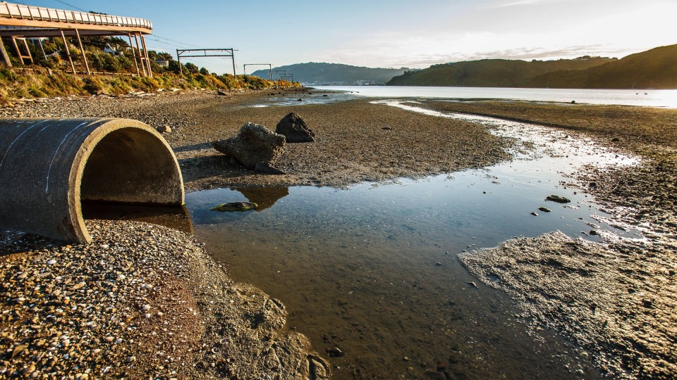 A stormwater pipe going out to the sea in Paremata Harbour.