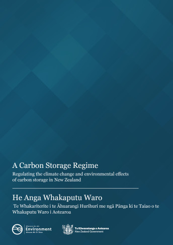 Carbon Storage cover