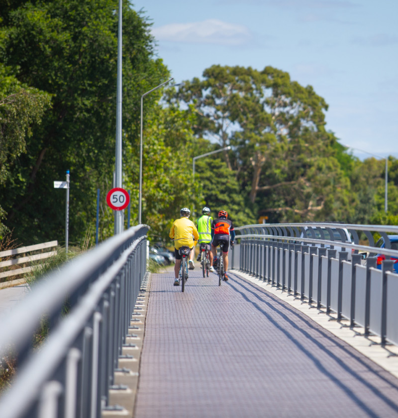 A group of cyclists on a cycle path adjacent to a road.  