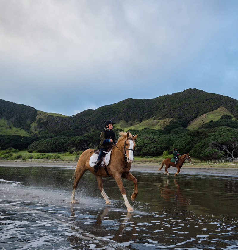 Two boys riding horses on the beach at high tide.  