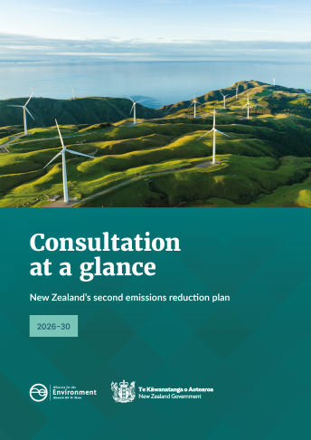 ERP2consultation at a glance cover