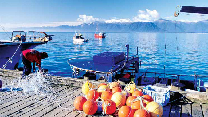 A person on a dock working with netting and fishing gear. There are several boats docked, and a wideshot with the ocean in the background and more boats floating.