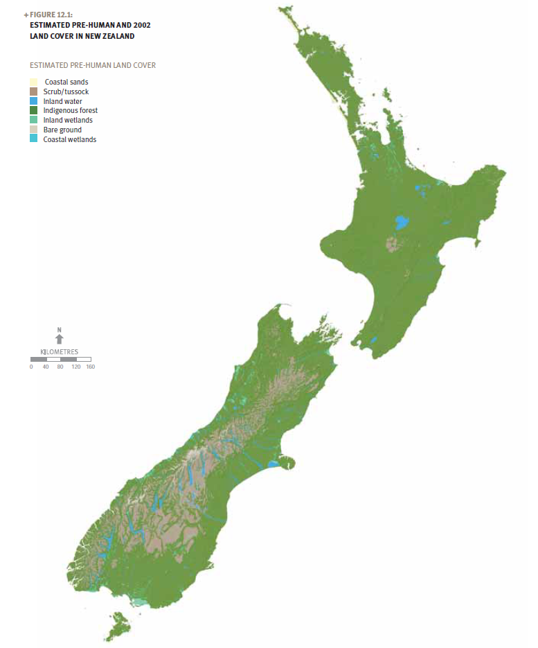 A map of New Zealand estimating the size of types of land pre-humans.