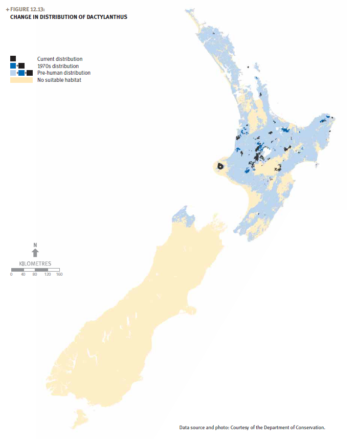 A map of New Zealand showing the change in distribution of dactylanthus.