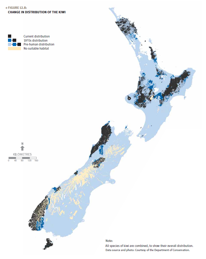 A map of New Zealand showing the change in distribution of the kiwi.