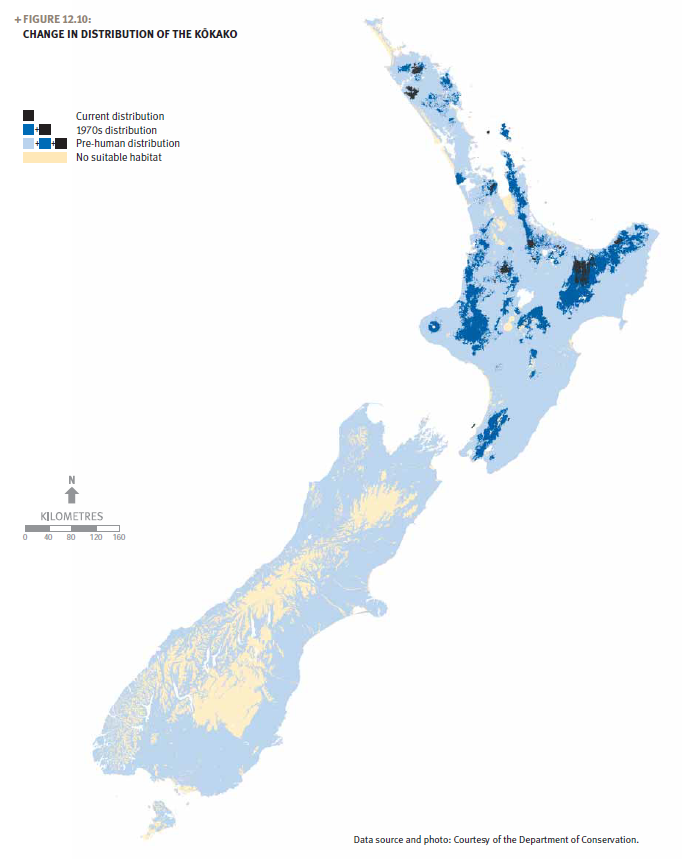 A map of New Zealand showing the change in distribution of the kōkako.