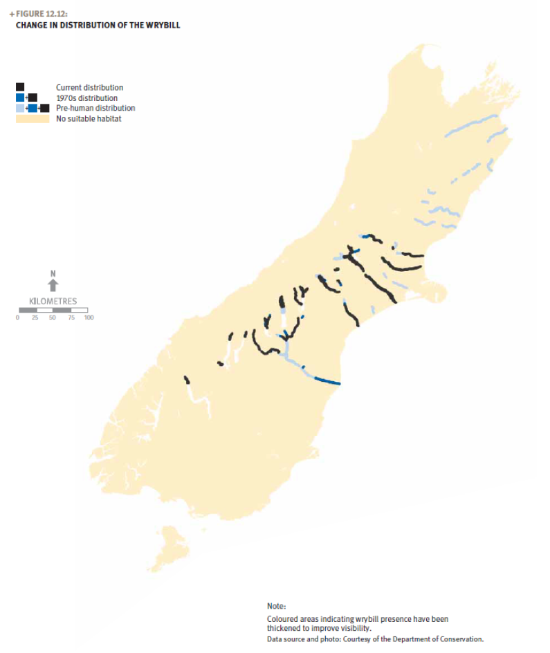 A map of the South Island showing the change in distribution of the wrybill.