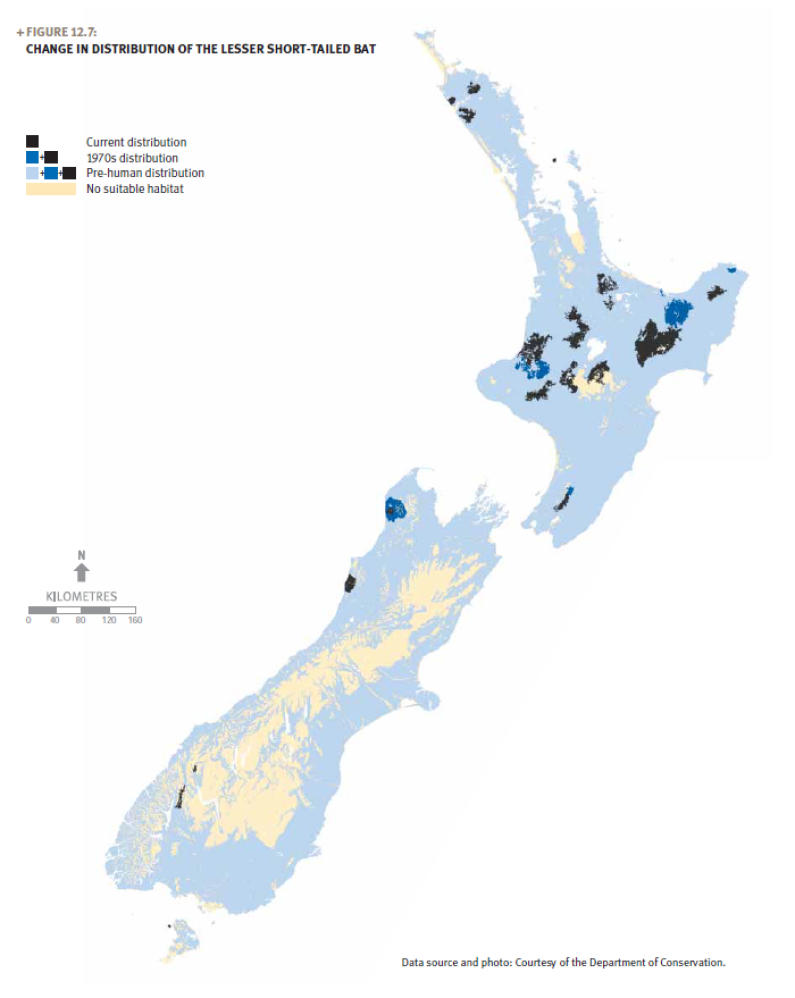 A map of New Zealand showing the change in distribution of the lesser short-tailed bat.