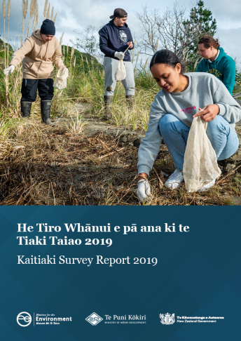 Kaitiaki Survey cover thumbnail