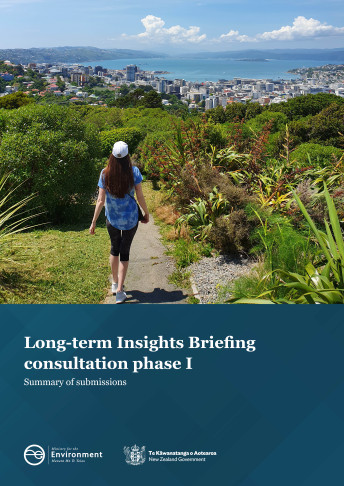 LTIB summary of submissions cover