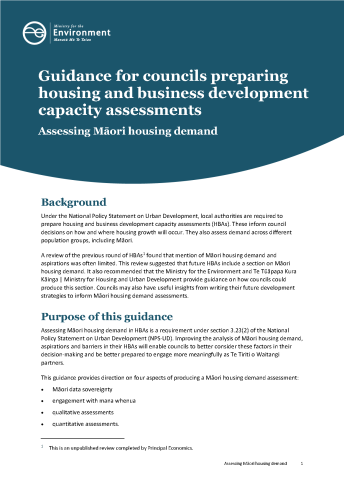 Maori housing demand cover