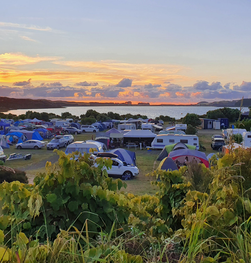 Tents and campervans on the grass by a harbour at sunset.