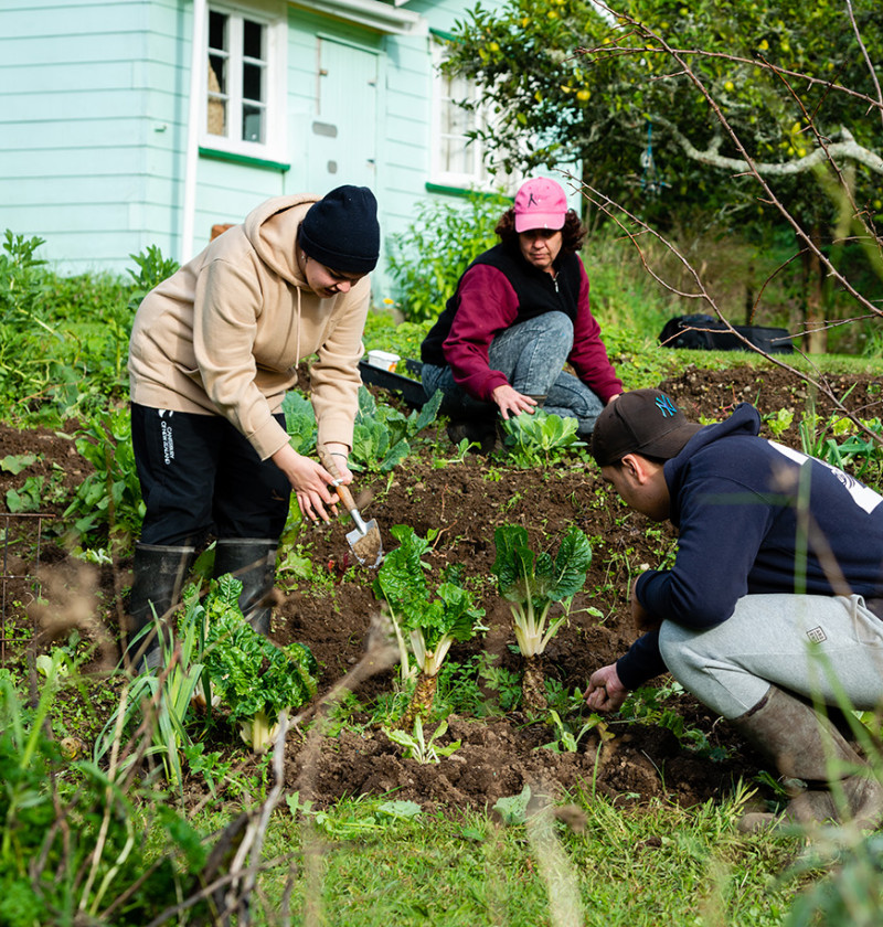 Three people working together to plant vegetables. 