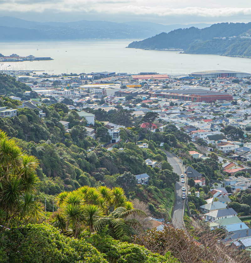 An aerial photo of Wellington showing hills, houses, a harbour and green hills.