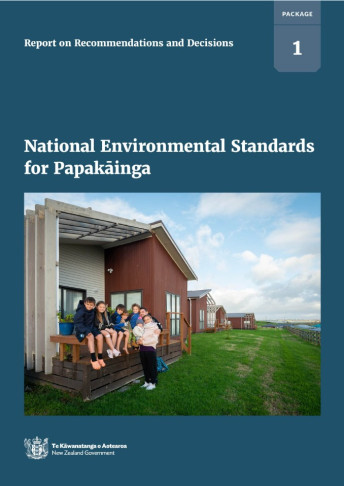 NES P Report on recommendations and decisions