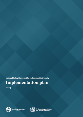 NPSIB Implementation plan cover v2