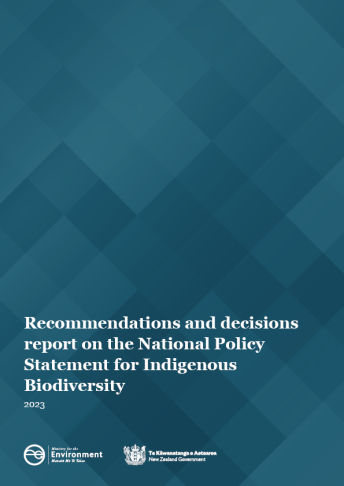 NPSIB Recommendations report final cover