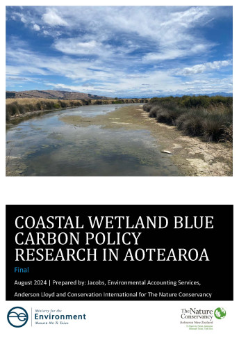 Cover Coastal Wetland Blue Carbon Policy Research in Aotearoa