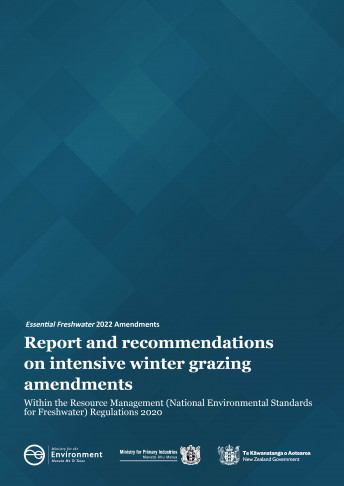 Report and recommendations IWG cover