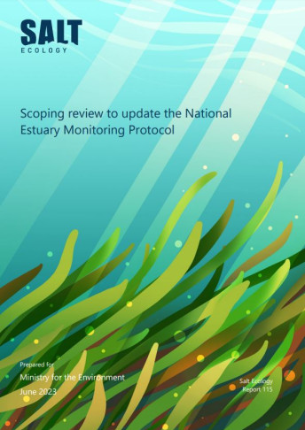 Scoping review cover