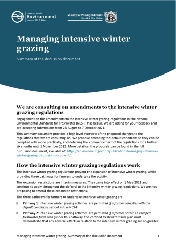 cover IWG summary of discussion document