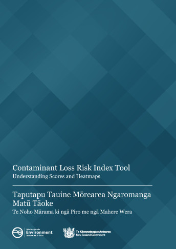 risk index tool scores guide bilingual cover web
