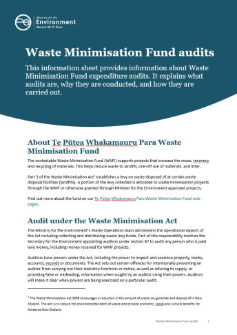 Waste Minimisation Fund audits thumbnail
