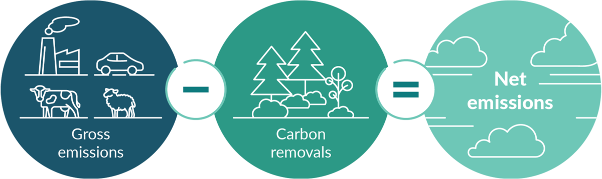 An infographic of three circles as an equation labelled gross emissions minus carbon removals equals net emissions.  