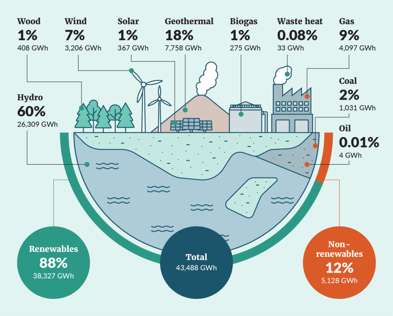 An infographic showing net electricity generation in gigawatt hours in 2023 across renewable energy sources (hydro, wood, wind, solar, geothermal, biogas and waste heat) and non-renewable energy sources (gas, coal and oil).