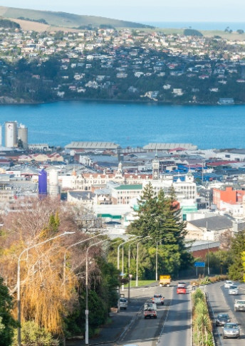 dunedin image