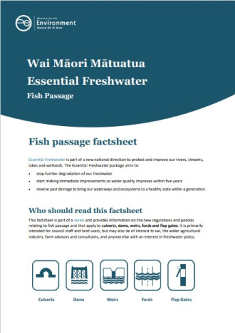 Cover of Essential Freshwater: Fish passage factsheet