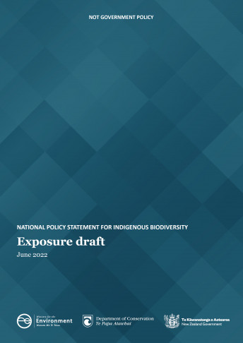 npsib exposure draft cover