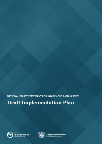 npsib implementation plan cover v2