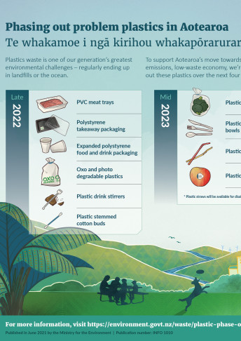 Thumbnail of the phasing out problem plastics in Aotearoa infographic.
