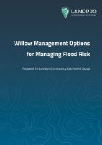 willow management thumbnail