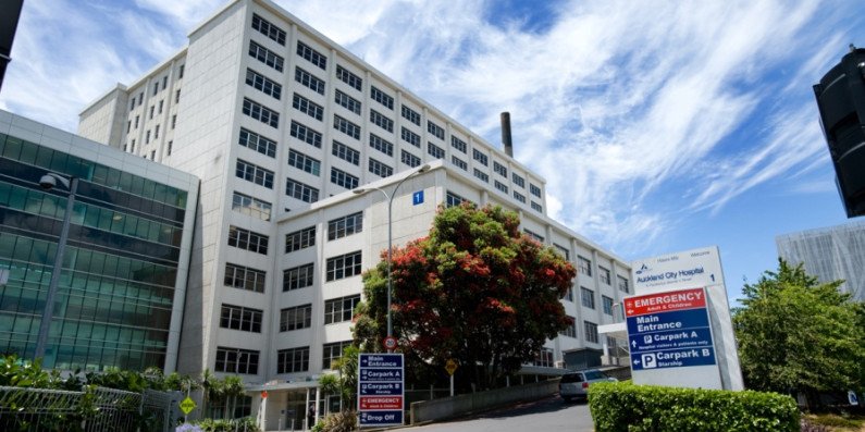 Auckland city hospital buildings